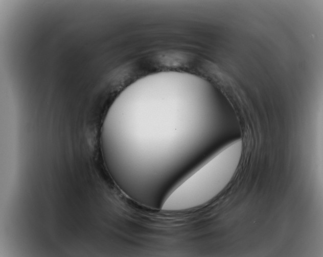 X0000088360559200705220735