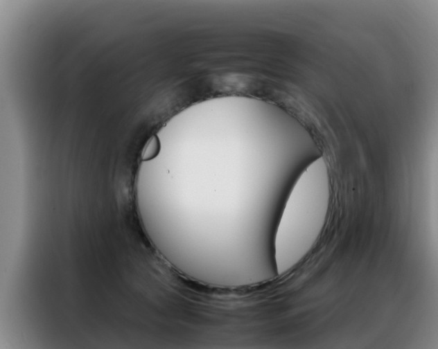 X0000088360561200705220735