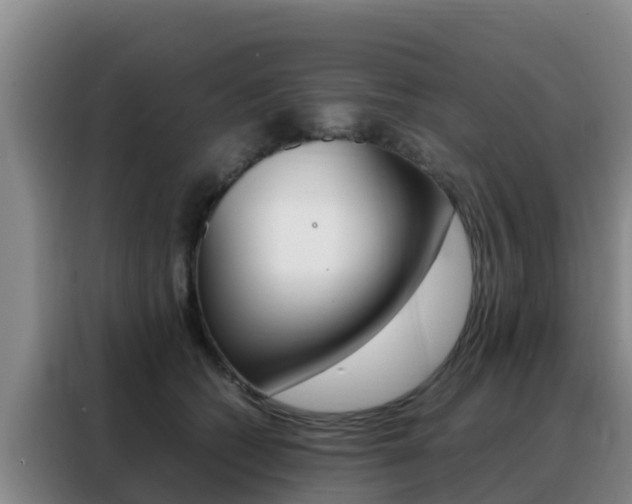X0000088360562200705220735