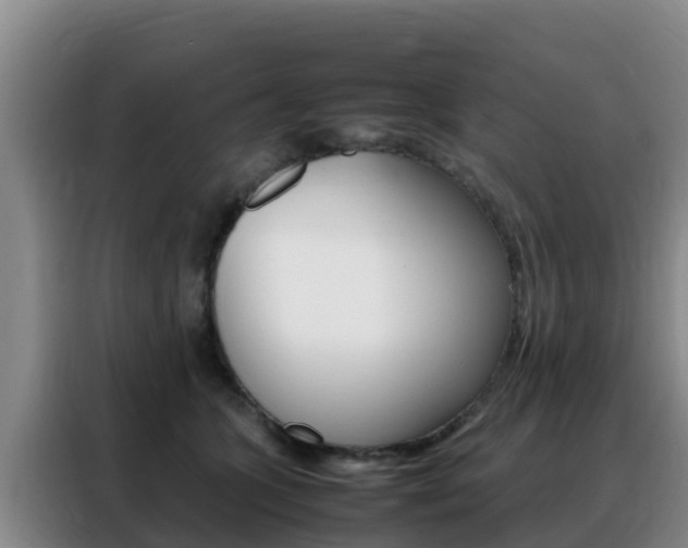 X0000088360563200705220735