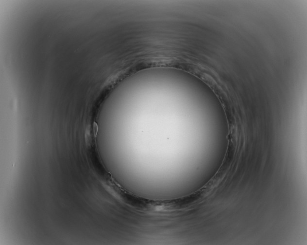 X0000088360564200705220735