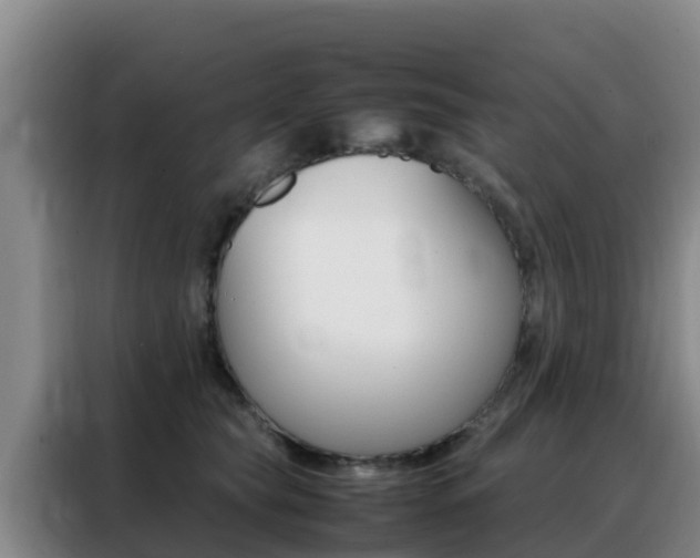 X0000088360565200705220735