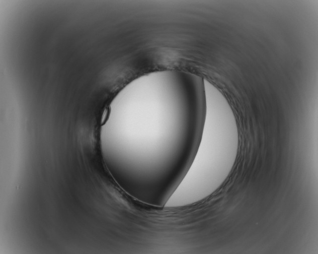 X0000088360566200705220735