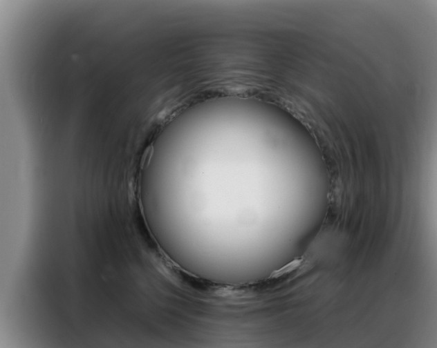 X0000088360568200705220735