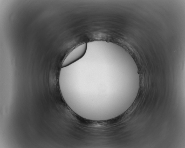 X0000088360569200705220735