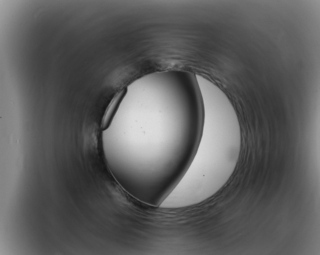 X0000088360570200705220735