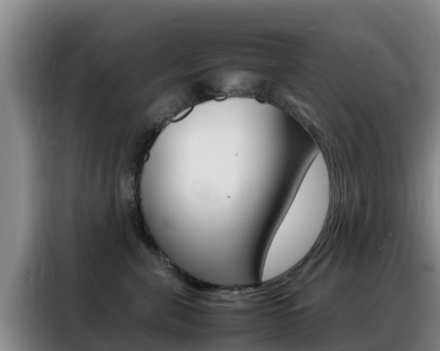 X0000088360571200705220735