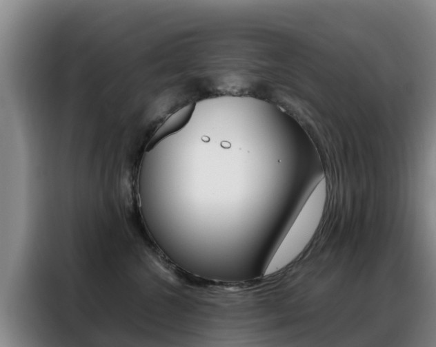 X0000088360572200705220735