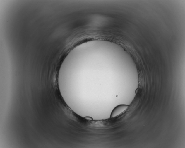 X0000088360573200705220735