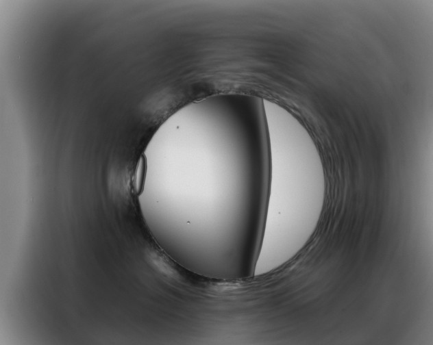 X0000088360574200705220735