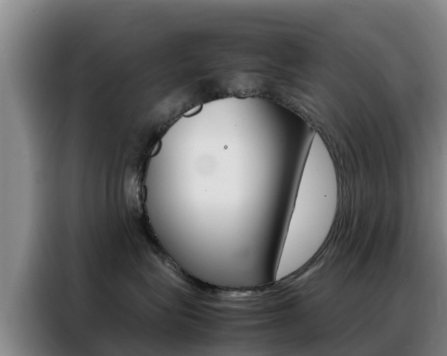 X0000088360575200705220735