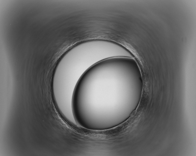 X0000088360577200705220735