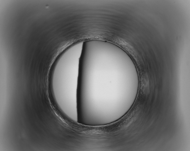 X0000088360578200705220735