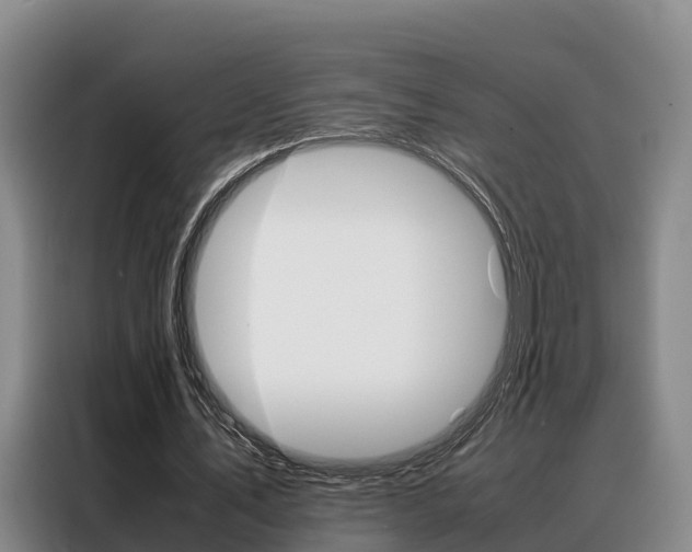 X0000088360579200705220735