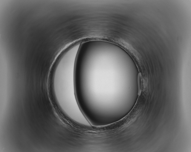 X0000088360580200705220735