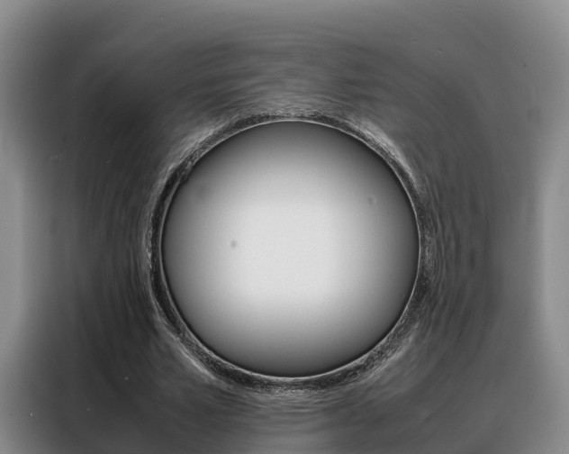 X0000088360581200705220735