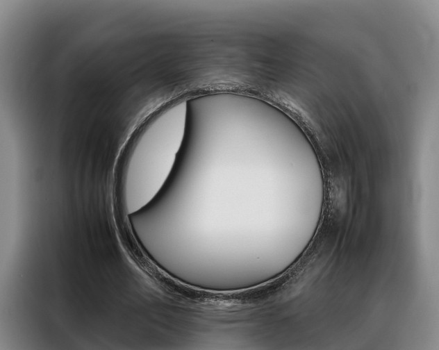 X0000088360582200705220735