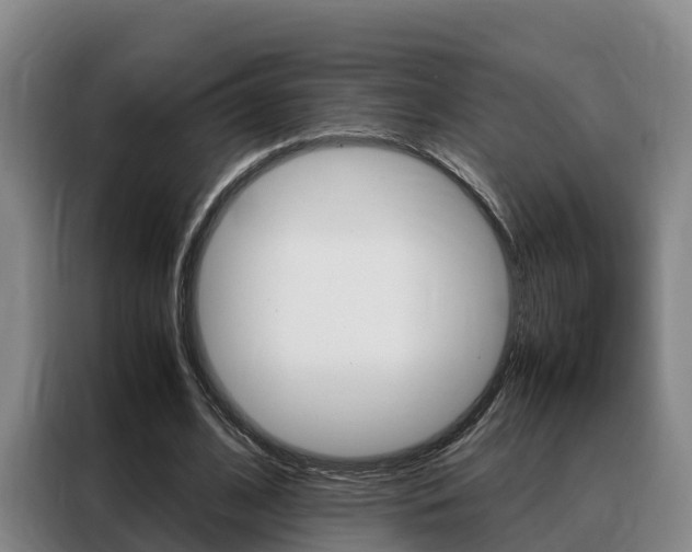 X0000088360584200705220734