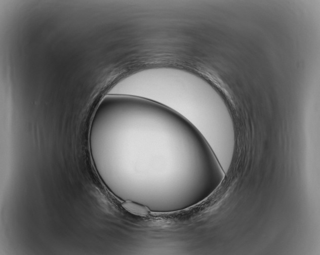X0000088360585200705220734