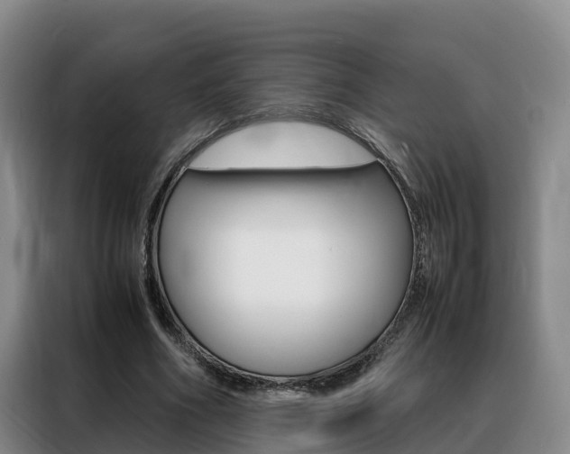 X0000088360586200705220734