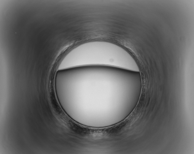 X0000088360587200705220734
