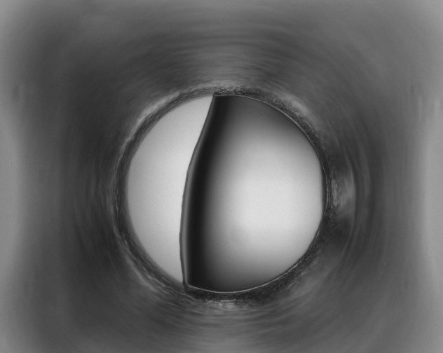 X0000088360588200705220734
