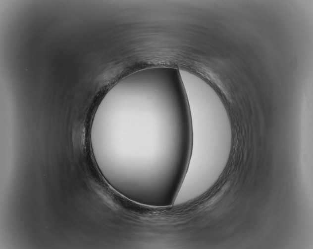 X0000088360589200705220734