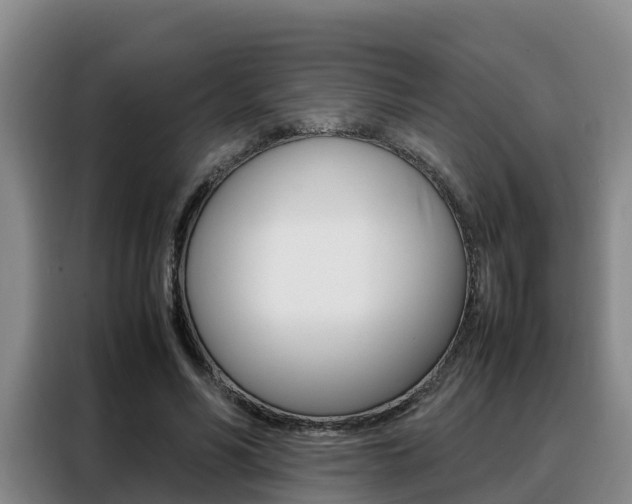 X0000088360590200705220734