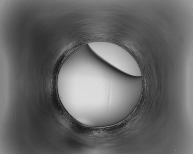 X0000088360591200705220734