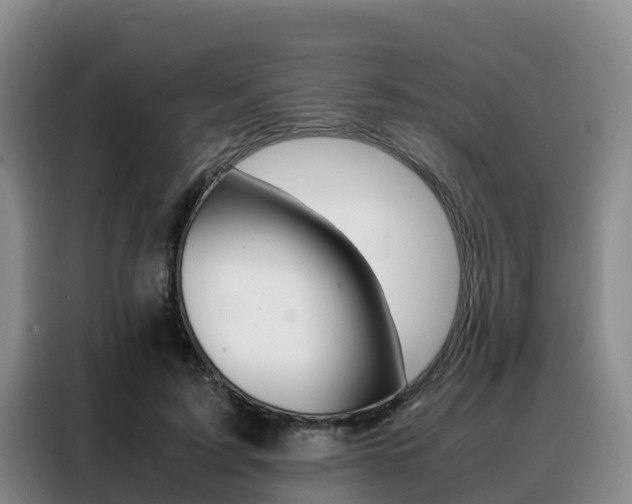 X0000088360595200705220734