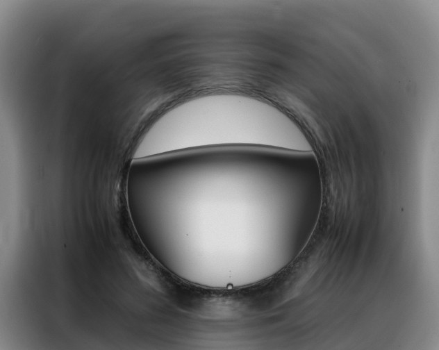 X0000088360596200705220734