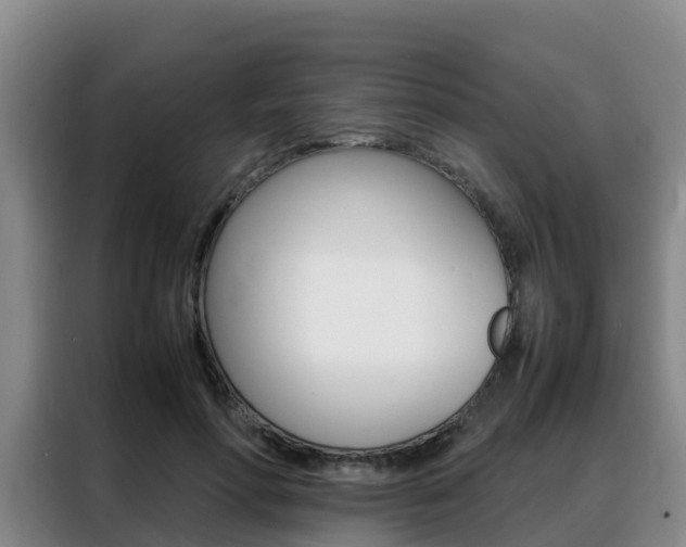 X0000088360598200705220734