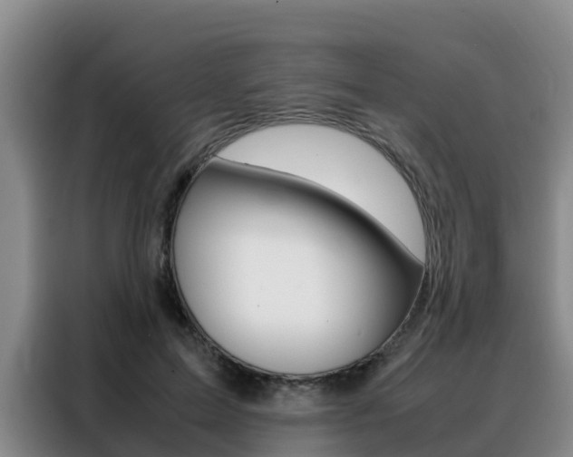 X0000088360599200705220734