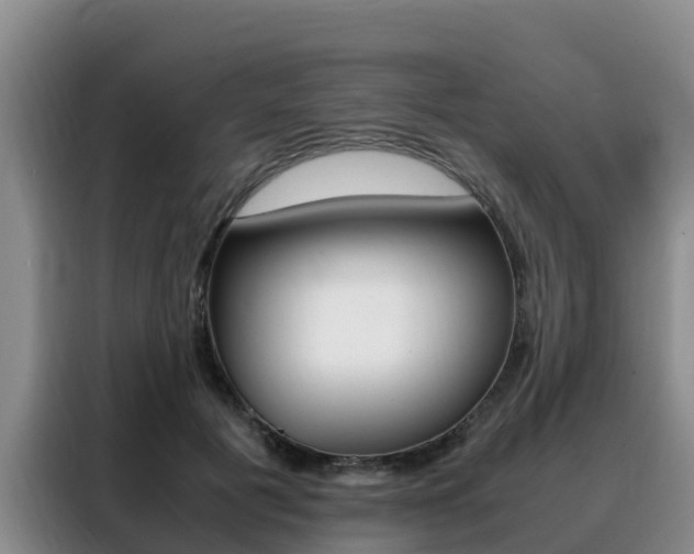X0000088360601200705220734
