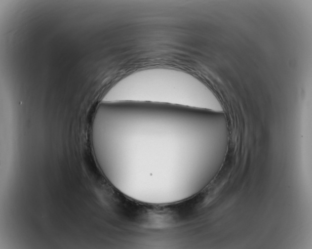 X0000088360603200705220734