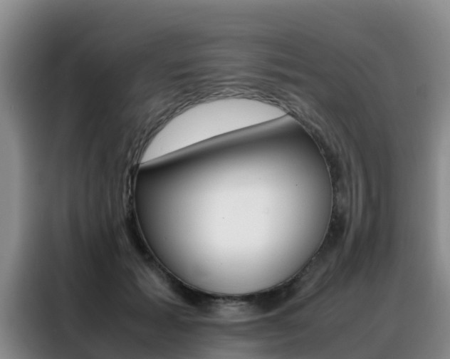 X0000088360605200705220734