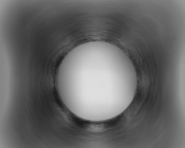 X0000088360606200705220734