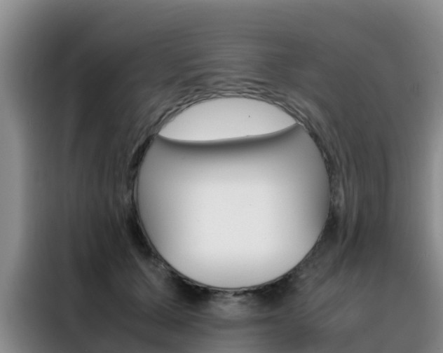 X0000088360607200705220734
