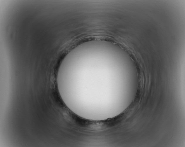 X0000088360609200705220734