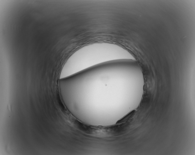 X0000088360611200705220734