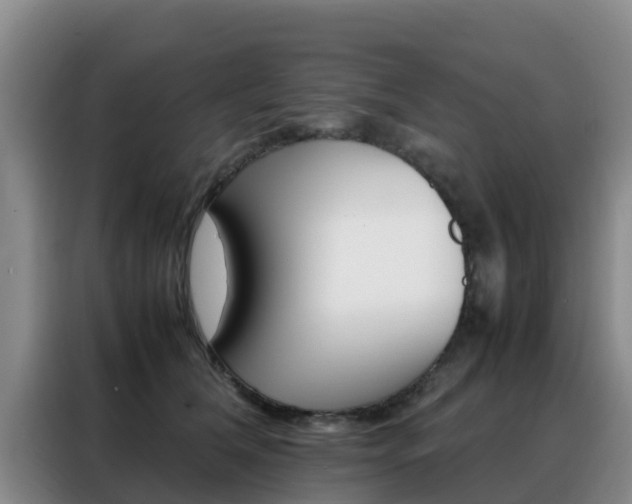 X0000088360612200705220734