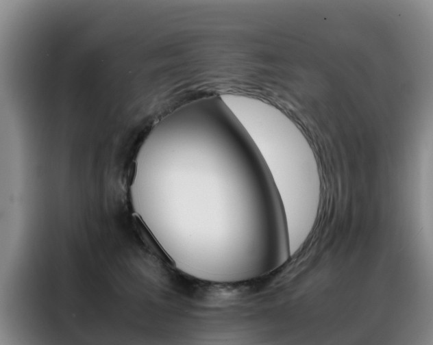 X0000088360613200705220734