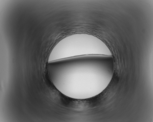 X0000088360615200705220734