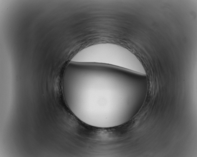 X0000088360616200705220734