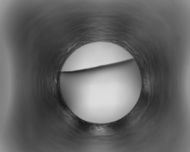 X0000088360618200705220734