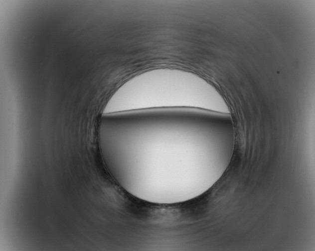 X0000088360619200705220734
