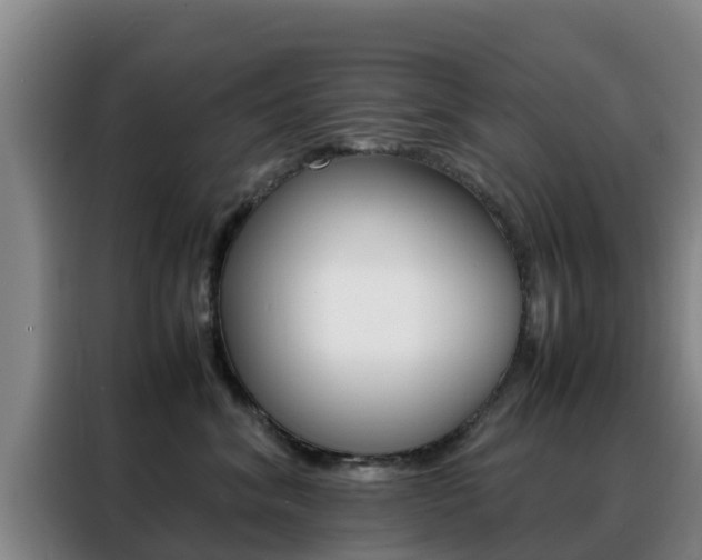 X0000088360620200705220734
