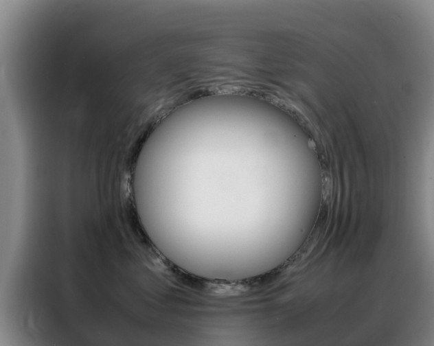X0000088360621200705220734