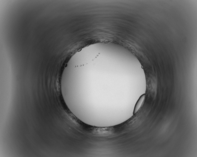X0000088360622200705220734