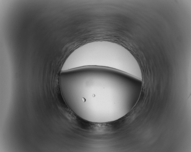 X0000088360623200705220734